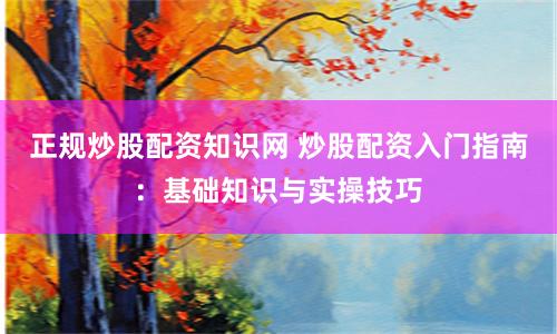 正规炒股配资知识网 炒股配资入门指南：基础知识与实操技巧