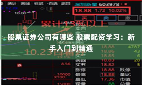 股票证券公司有哪些 股票配资学习：新手入门到精通