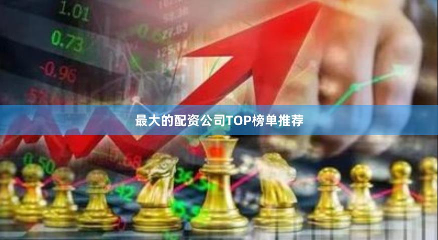最大的配资公司TOP榜单推荐